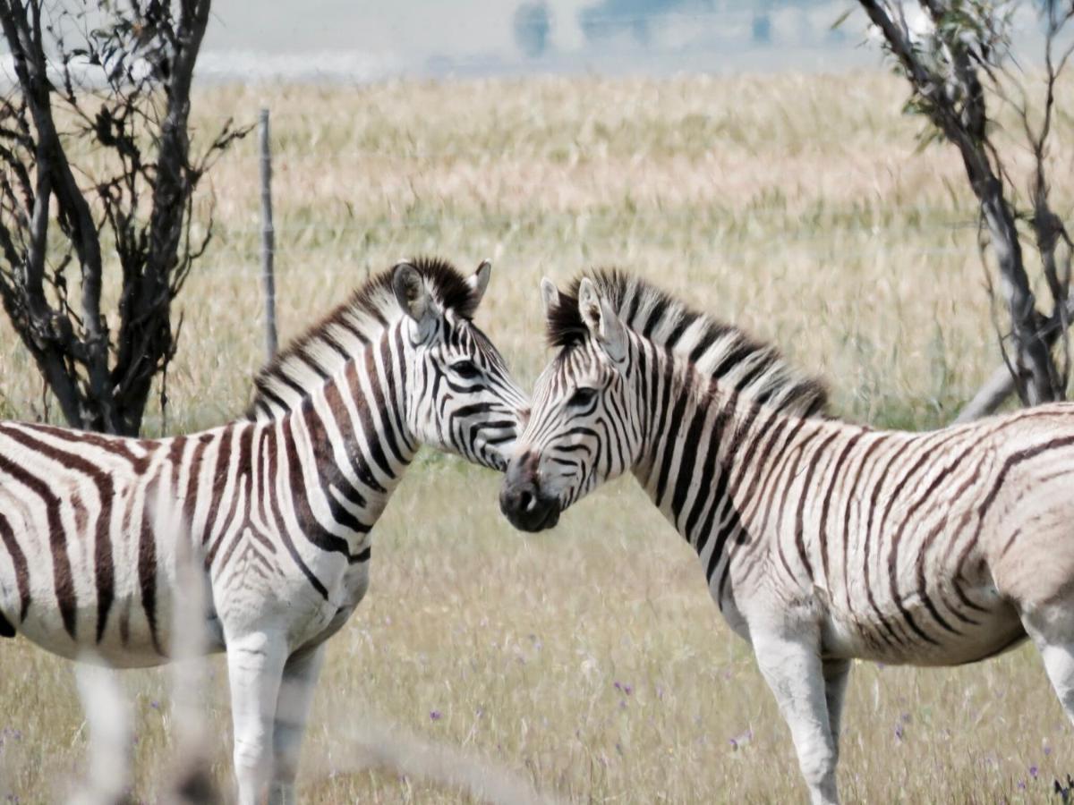 Denneboom Vineyards&Wildlife Lägenhet Paarl Exteriör bild
